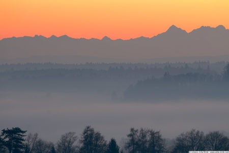 High Rhine under fog